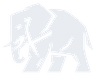 Elephor